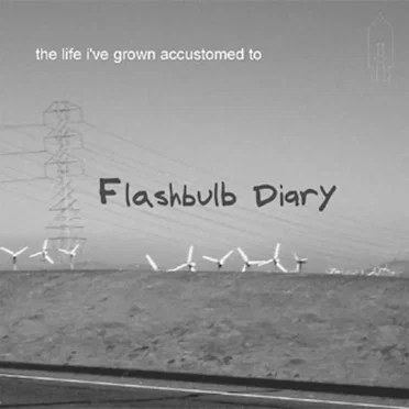 The Life I've Grown Accustomed To by Flashbulb Diary - album cover