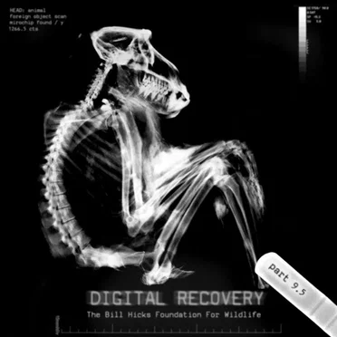 Digital Recovery, Part 9.5 by Various Artists - album cover