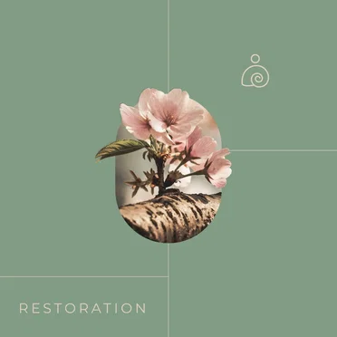 Restoration