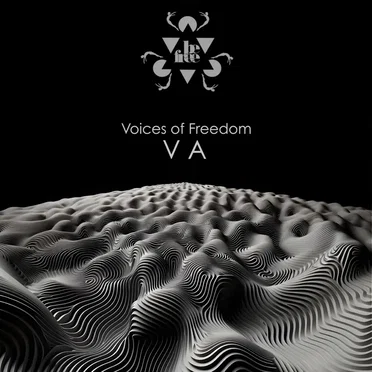 Voice Of Freedom by Various Artists - album cover