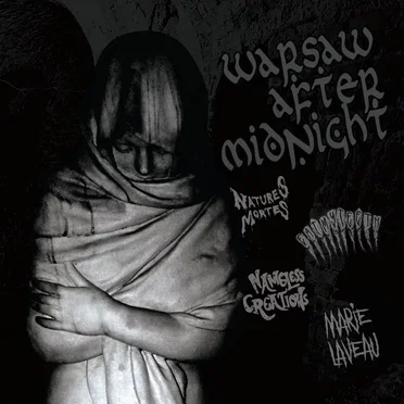Warsaw after midnight by Various Artists - album cover