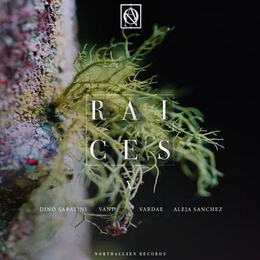 Raíces V by Various Artists - album cover