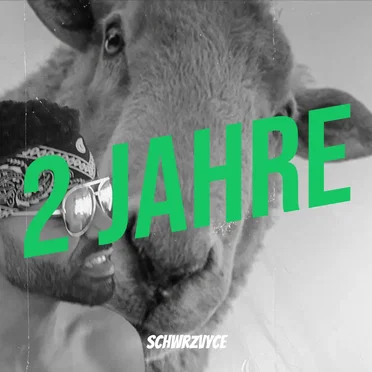 2 Jahre by SchwrzVyce - album cover