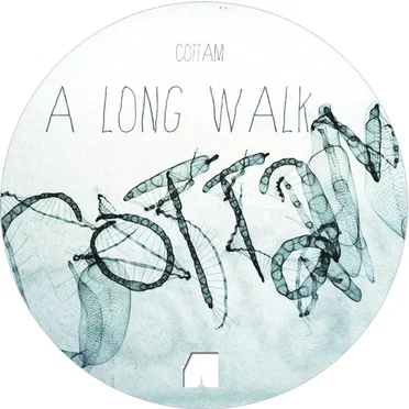 A Long Walk / The Other World by Cottam - album cover