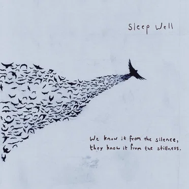 We Know It From the Silence, They Know It From the Stillness by Sleep Well - album cover