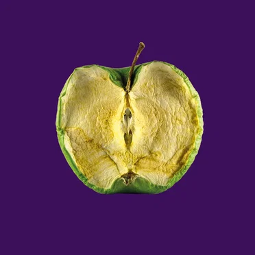 Waste by Zeal & Ardor - album cover