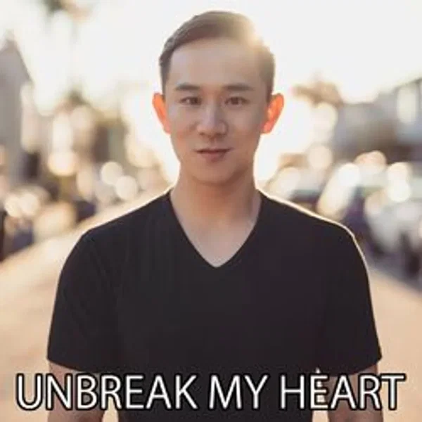 Unbreak My Heart
