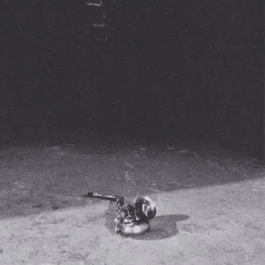 Self-Destruct Machine 自毁机器