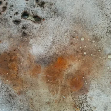 Blurred Memories, Clouded Reasons