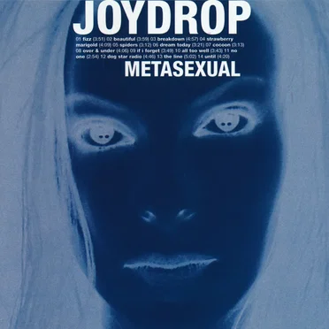 Metasexual