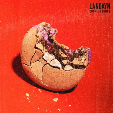 cookie crumbs by Landayn - album cover