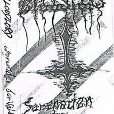 Serenaden Der Wälder