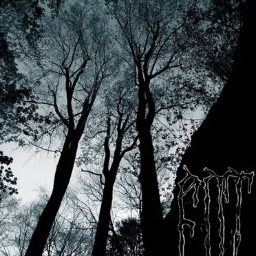 Destroyers and Usurpers by Ent - album cover