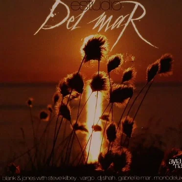 Estudio Del Mar by Various Artists - album cover