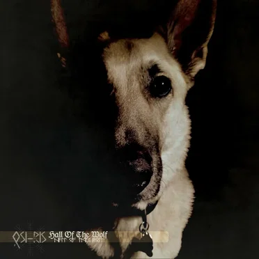 Halls of the Wolf