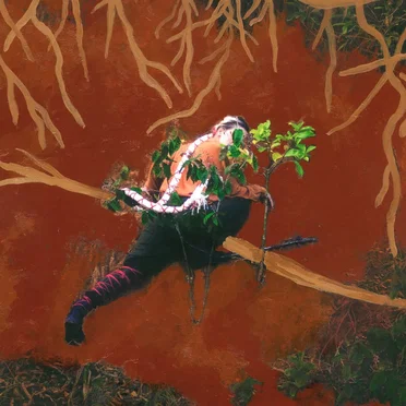 Como Um Bicho Vê by Anna Vis - album cover