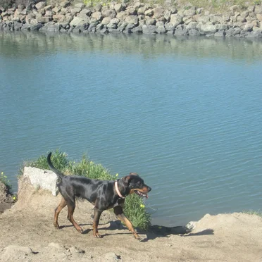 Point Isabel, February 19th, 2022