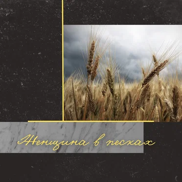 Женщина в песках by Бумажные Тигры - album cover