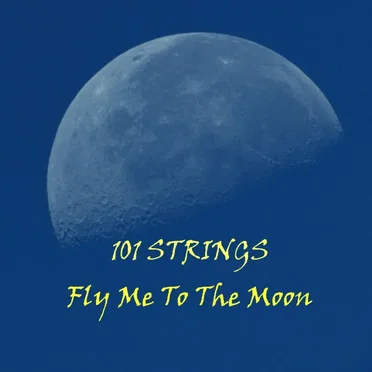 Fly Me To The Moon