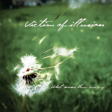 What Senses Blow Away by Victim Of Illusion - album cover