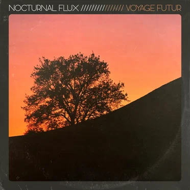 Nocturnal Flux