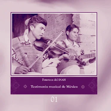 Testimonio musical de México by Various Artists - album cover
