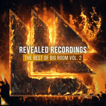Revealed Recordings Presents the Best of Big Room Vol. 2 by Various Artists - album cover