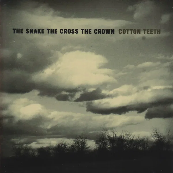 Cotton Teeth