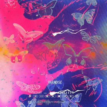 Paradise by MESHAPI - album cover