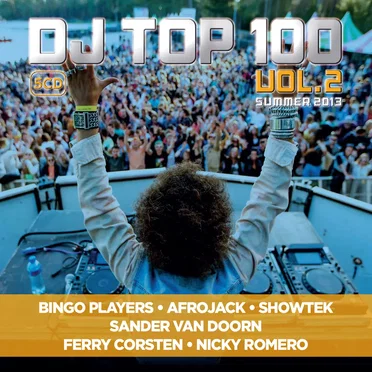 DJ Top 100, Volume 2: Summer 2013 by Various Artists - album cover