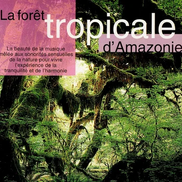 La Forêt Tropicale D'Amazonie