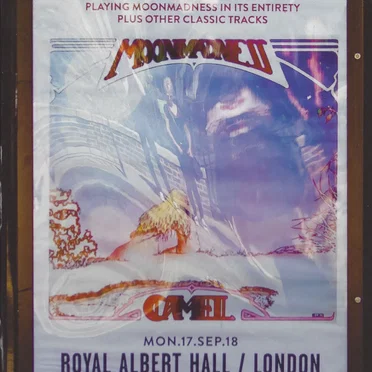 Live at the Royal Albert Hall