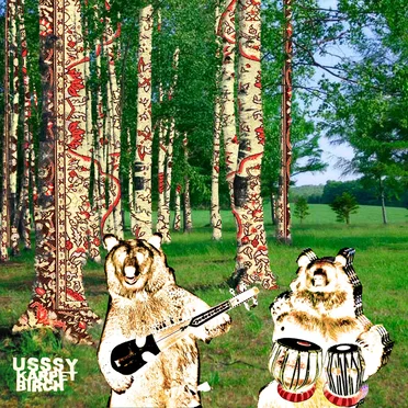 Karpet Birch by uSSSy - album cover