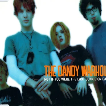 Not If You Were the Last Junkie on Earth