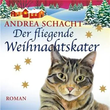 Der fliegende Weihnachtskater by Andrea Schacht - album cover