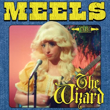 The Wizard by Meels - album cover