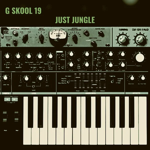 G Skool 19