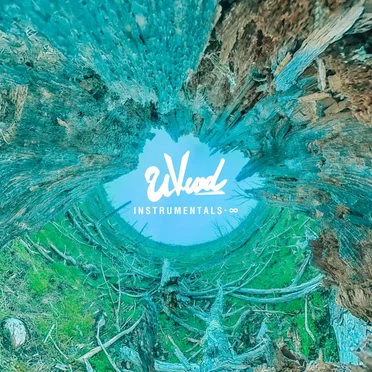 INSTRUMENTALS-∞ by UVERworld - album cover