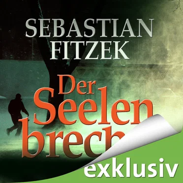 Der Seelenbrecher by Sebastian Fitzek - album cover
