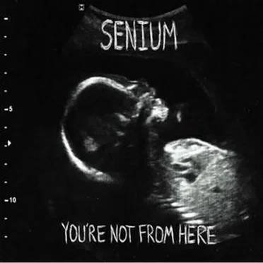 You're Not From Here by Senium - album cover