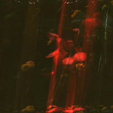 Time, Real & Imaginary