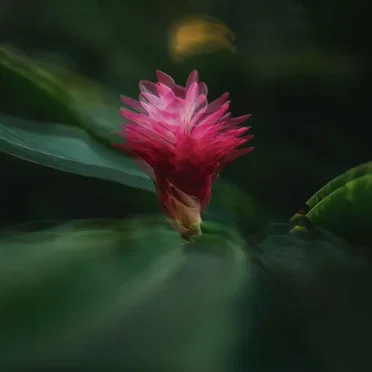 Modular live recording #17