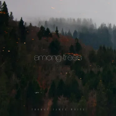 Among Trees