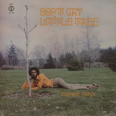 Don't Cry Little Tree by Trevor Dandy - album cover