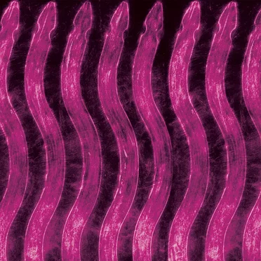 Neon Nightmares