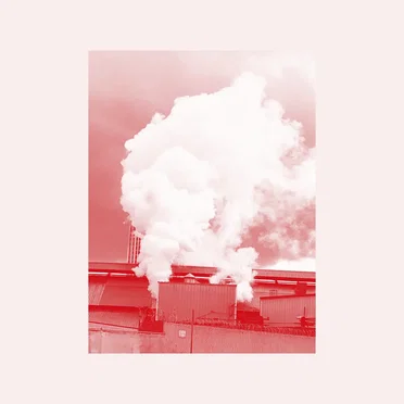 Bathed in Light and Rapture