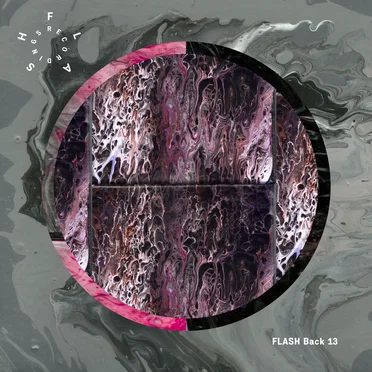 FLASH Back X13 by Various Artists - album cover