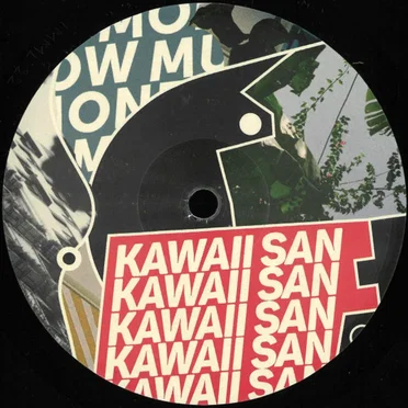Covert Operation EP by Kawaii San - album cover