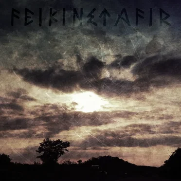 Feikinstafir by Danheim - album cover