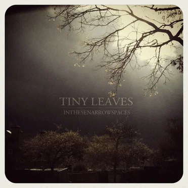 InTheseNarrowSpaces by Tiny Leaves - album cover